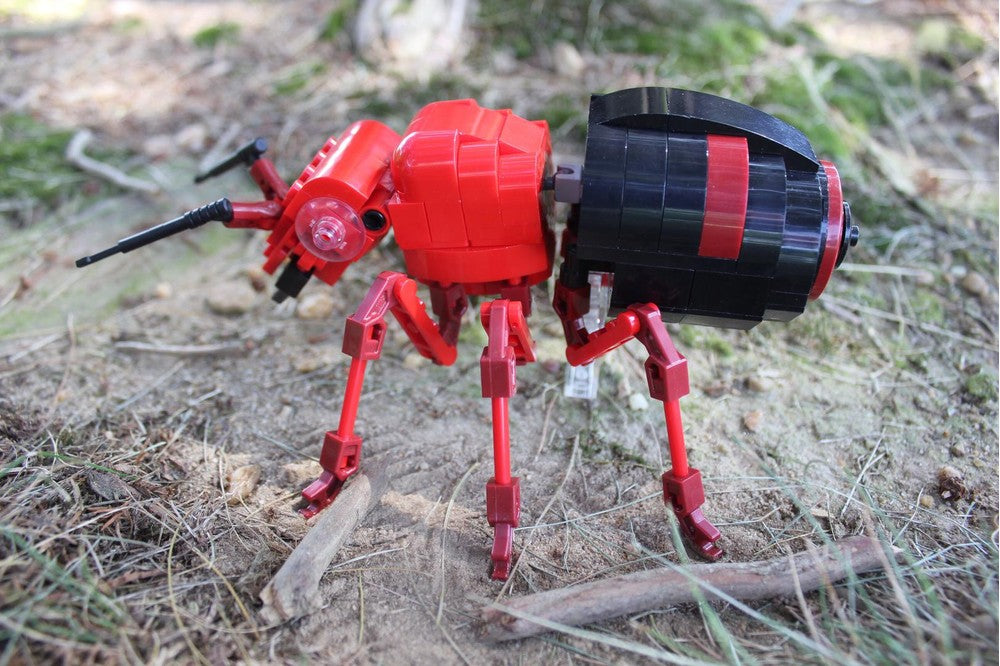 (G) - The Fire Ant Queen (V1)