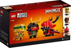 Ninjago 10