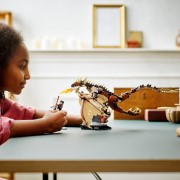 Hungarian Horntail Dragon