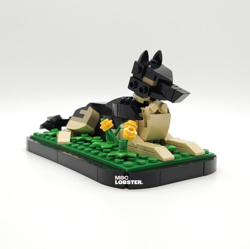 Land Animals