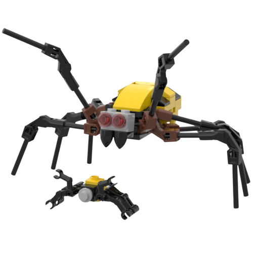 (G) - Orb Weavers