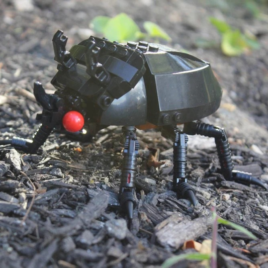 (G) - The Black Ox Beetle