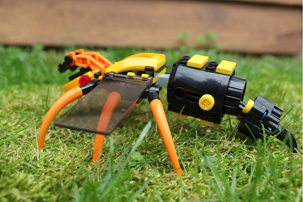 (G) - Defeating The Wasp Queen