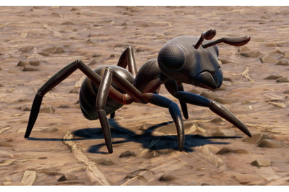 (G) - The Baby Black Ant