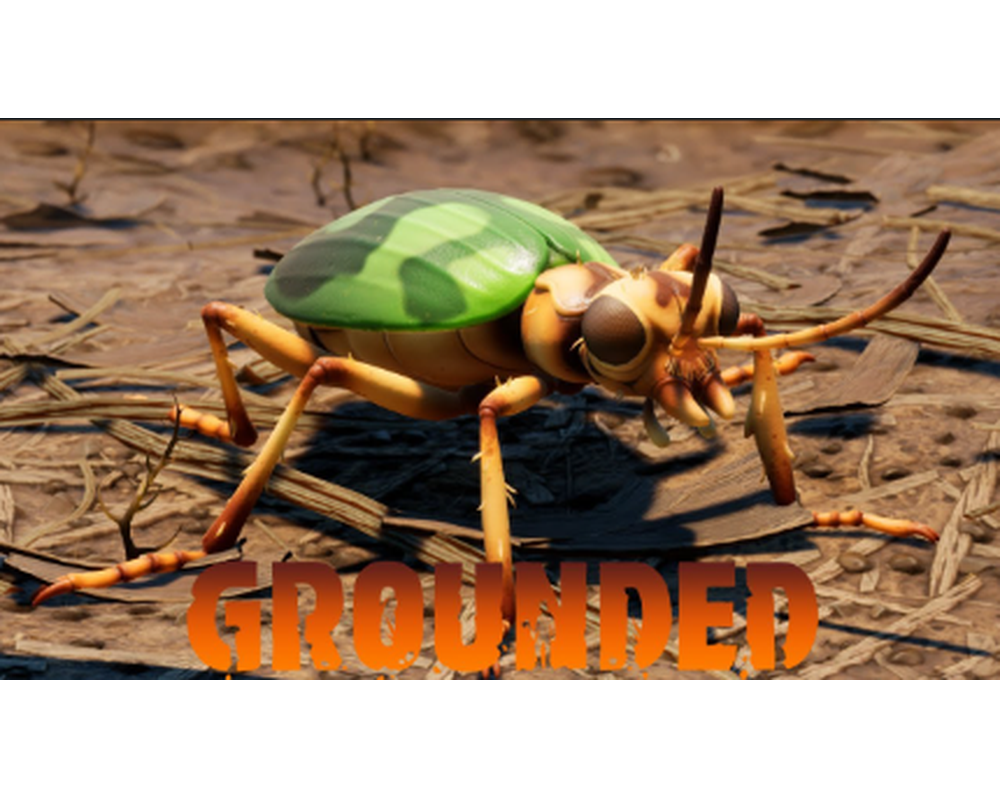 (G) - The Bombardier Beetle