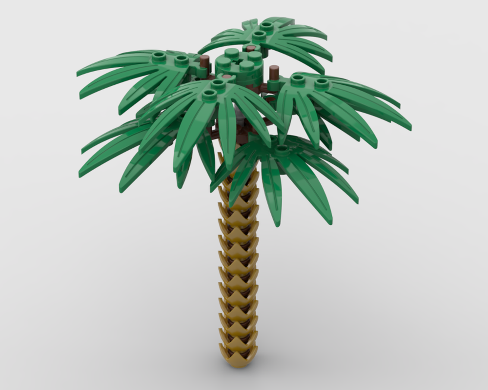 Palm Tree