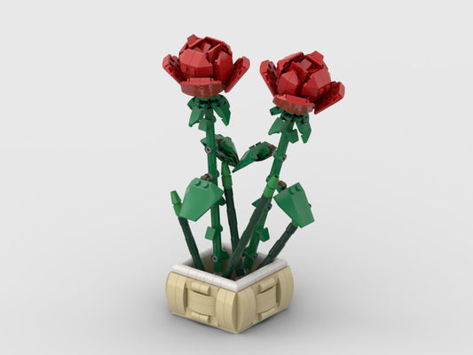 Rose In A Pot