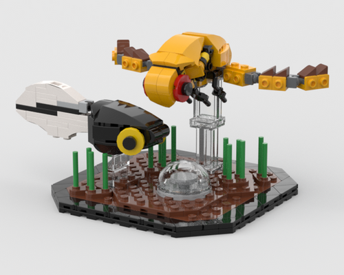 (G) - The Pond