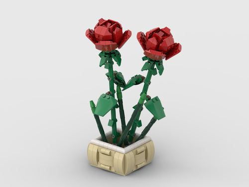 Rose In A Pot