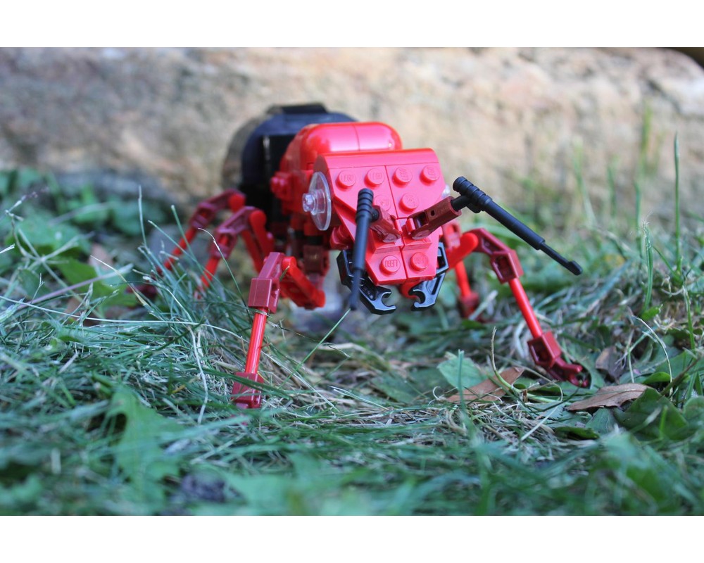 (G) - The Fire Ant Queen (V2)