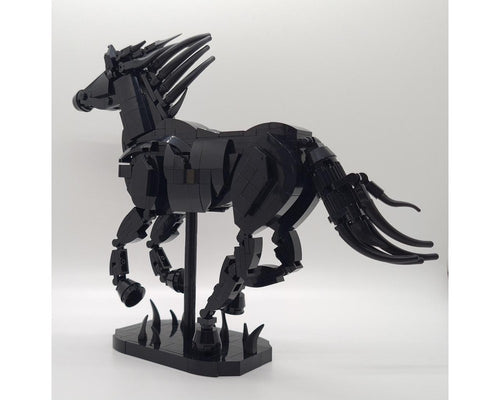 Equus Caballus