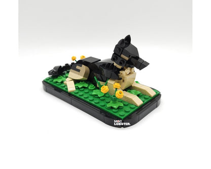 Sasha (German Shepherd)