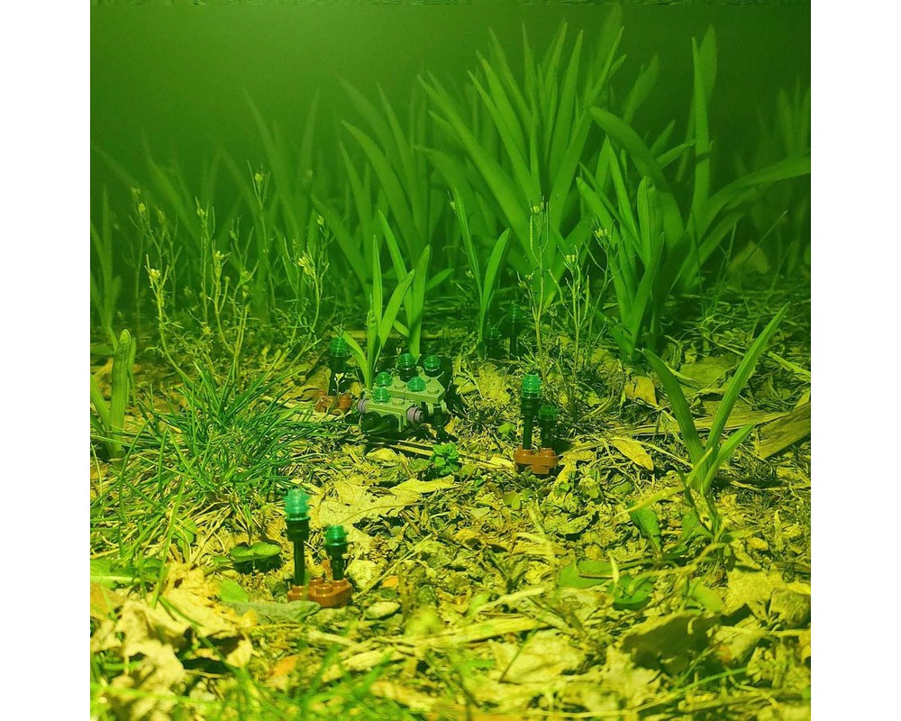 (G) - Lost In The Haze