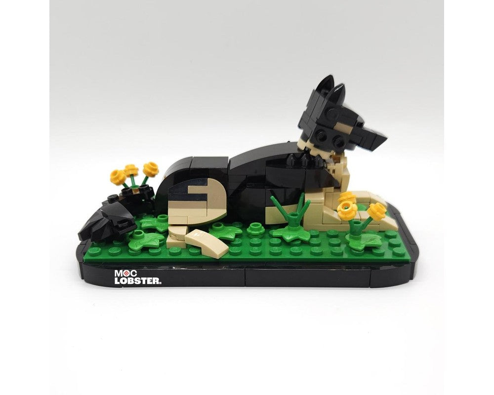 Sasha (German Shepherd)