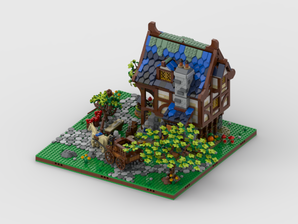 Display For Set 21325 Medieval Blacksmith