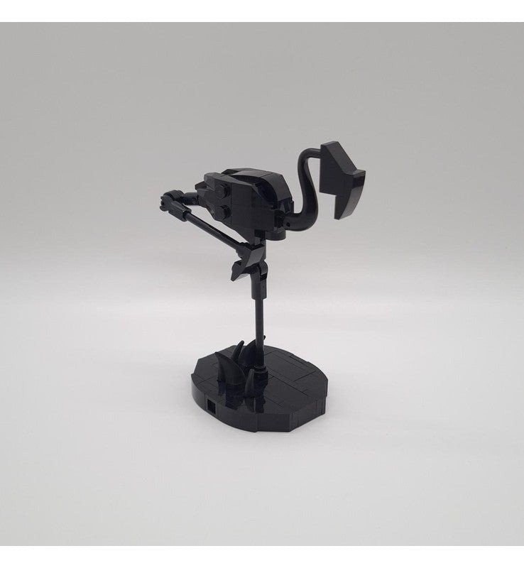 Phoenicopterus Ruber