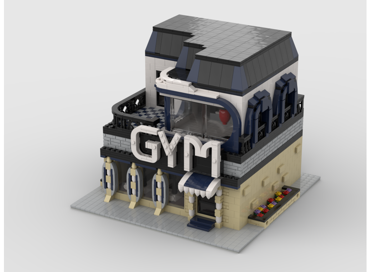 MOC-35664-1: Modular GYM