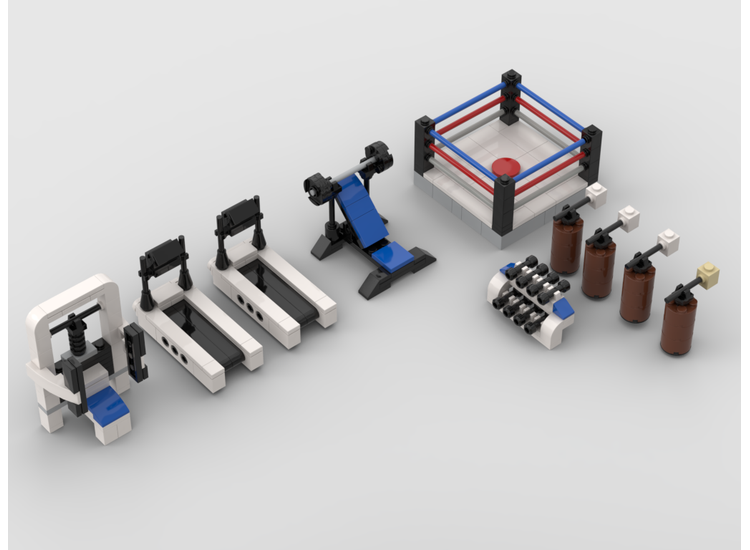 MOC-35664-1: Modular GYM