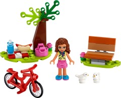 Park Picnic polybag