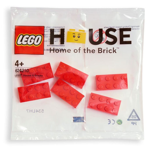 6 Bricks polybag