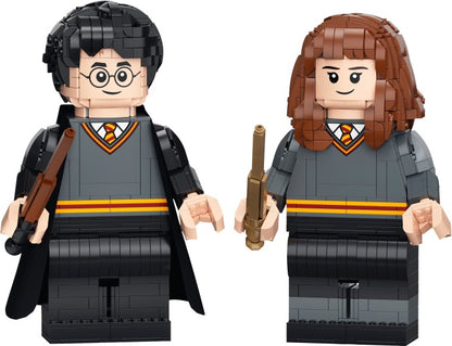 Harry Potter & Hermione Granger