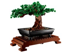 Bonsai Tree