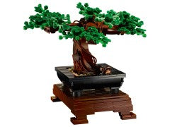 Bonsai Tree