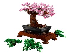 Bonsai Tree
