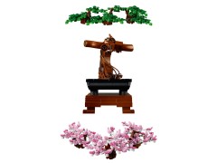Bonsai Tree