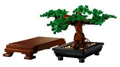 Bonsai Tree