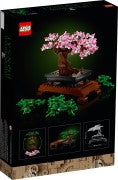 Bonsai Tree