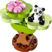 Learn about Chinese Culture