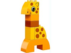 Creative Animals