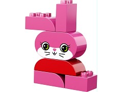 Creative Animals