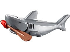 Pirate Treasure Hunt