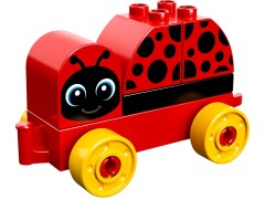 My First Ladybug