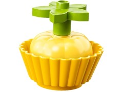 My First Celebration