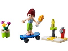 Skate Boarder polybag
