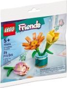 Friendship Flowers polybag