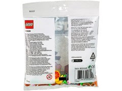 Food Accessories polybag