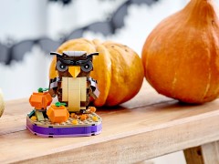 Halloween Owl