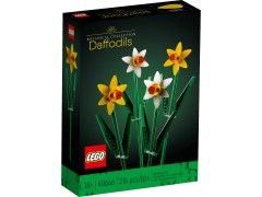 Daffodils