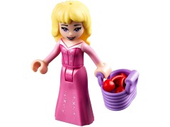 Sleeping Beauty's Fairytale Castle