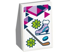 Snow Resort Ice Rink