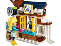 Snow Resort Ice Rink