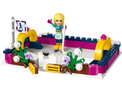 Snow Resort Ice Rink