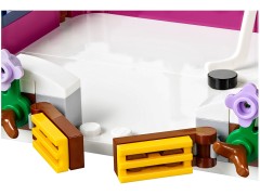 Snow Resort Ice Rink