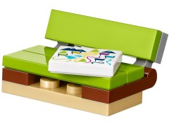 Snow Resort Ice Rink