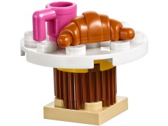 Snow Resort Ice Rink