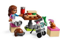 Heartlake City Airplane Tour